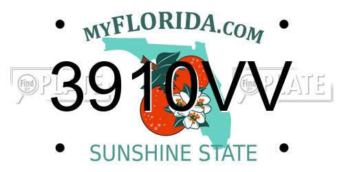 3910VV Florida License Plate
