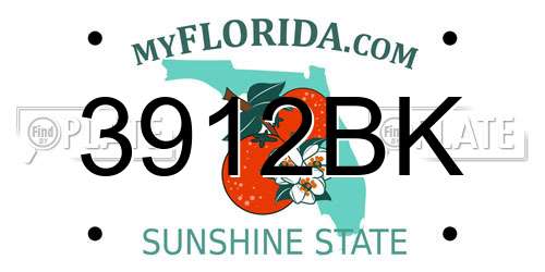 3912BK Florida License Plate