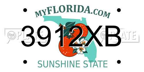 3912XB Florida License Plate