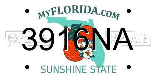 3916NA Florida License Plate