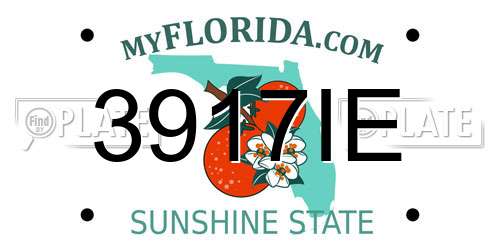3917IE Florida License Plate