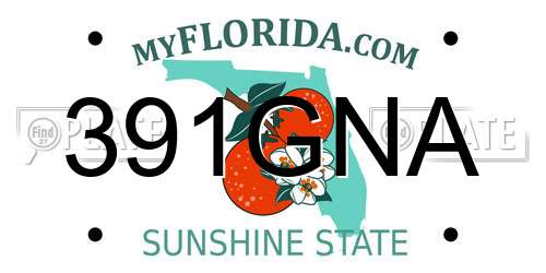 391GNA Florida License Plate