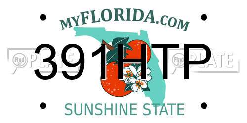 391HTP Florida License Plate