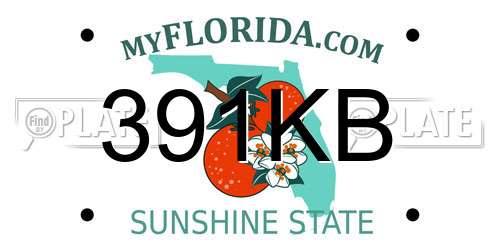 391KB Florida License Plate