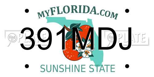 391MDJ Florida License Plate