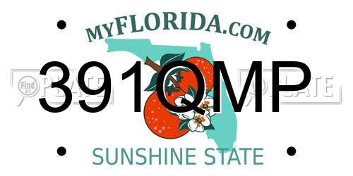 391QMP Florida License Plate