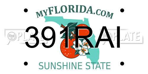 391RAI Florida License Plate