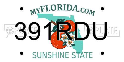 391RDU Florida License Plate