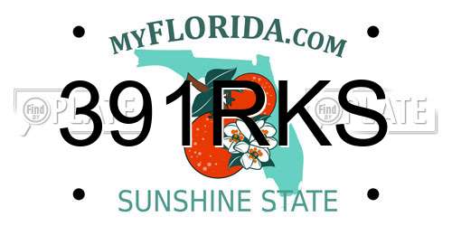 391RKS Florida License Plate