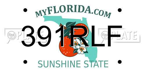 391RLF Florida License Plate