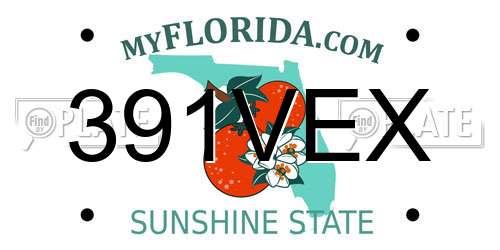391VEX Florida License Plate