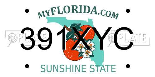 391XYC Florida License Plate