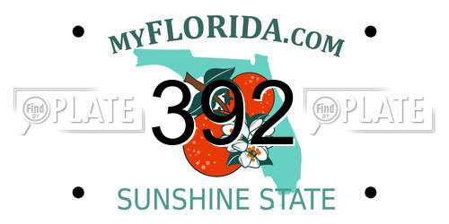 392 Florida License Plate