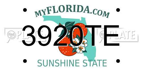 3920TE Florida License Plate