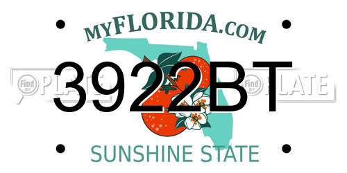 3922BT Florida License Plate