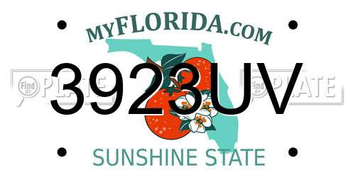 3923UV Florida License Plate