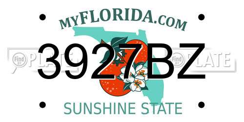 3927BZ Florida License Plate