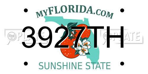 3927TH Florida License Plate
