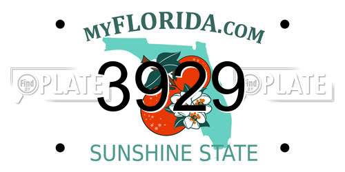 3929 Florida License Plate