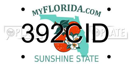 392CID Florida License Plate