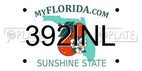 392INL Florida License Plate