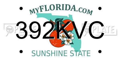 392KVC Florida License Plate