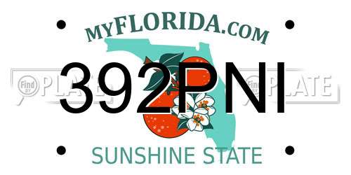 392PNI Florida License Plate