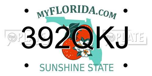 392QKJ Florida License Plate