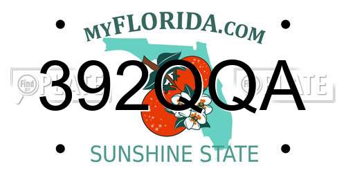 392QQA Florida License Plate