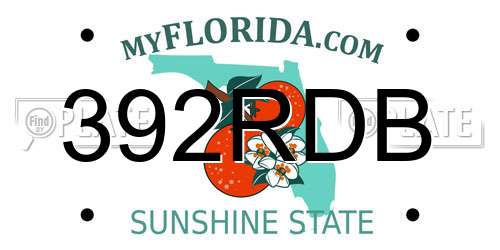 392RDB Florida License Plate