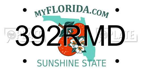 392RMD Florida License Plate