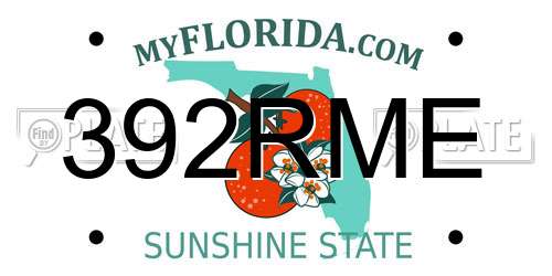 392RME Florida License Plate