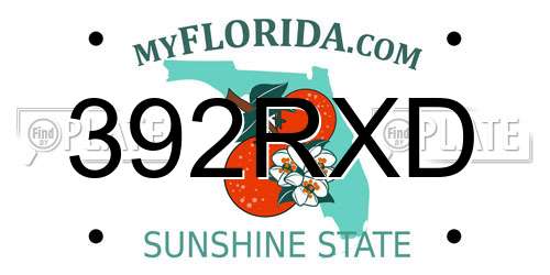 392RXD Florida License Plate