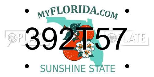 392T57 Florida License Plate