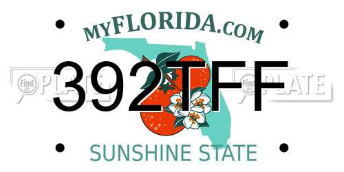 392TFF Florida License Plate