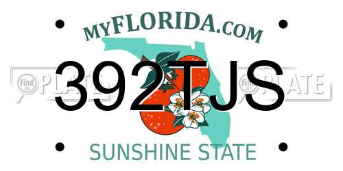 392TJS Florida License Plate