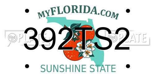 392TS2 Florida License Plate