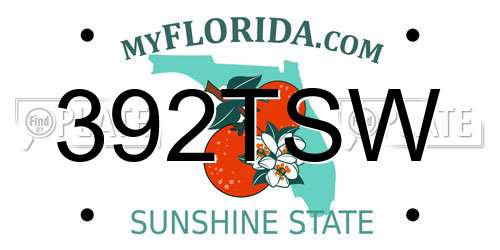 392TSW Florida License Plate