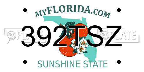 392TSZ Florida License Plate