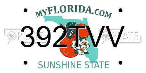 392TVV Florida License Plate