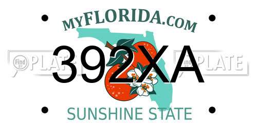 392XA Florida License Plate