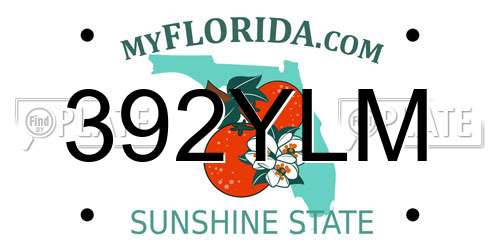 392YLM Florida License Plate
