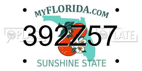 392Z57 Florida License Plate
