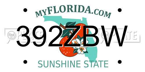 392ZBW Florida License Plate
