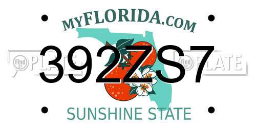 392ZS7 Florida License Plate