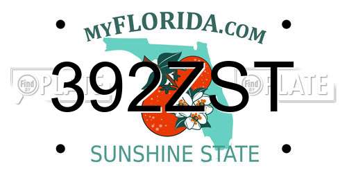 392ZST Florida License Plate