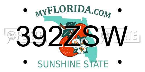 392ZSW Florida License Plate