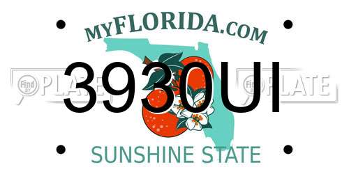 3930UI Florida License Plate
