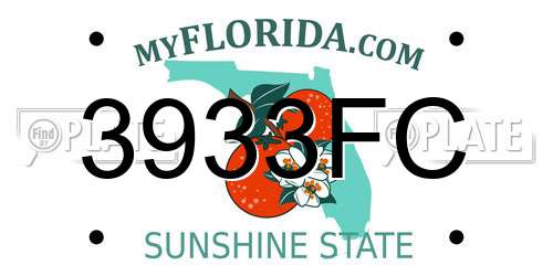 3933FC Florida License Plate