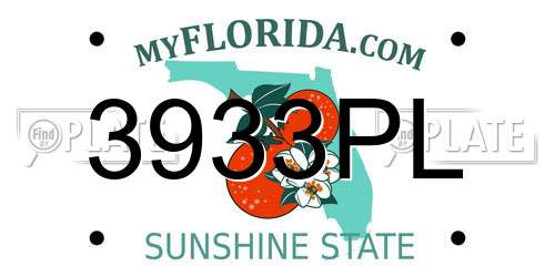 3933PL Florida License Plate